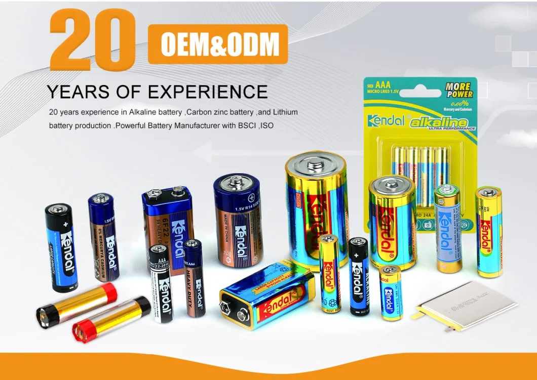 135 Mins Duration AA Alkaline Batteries